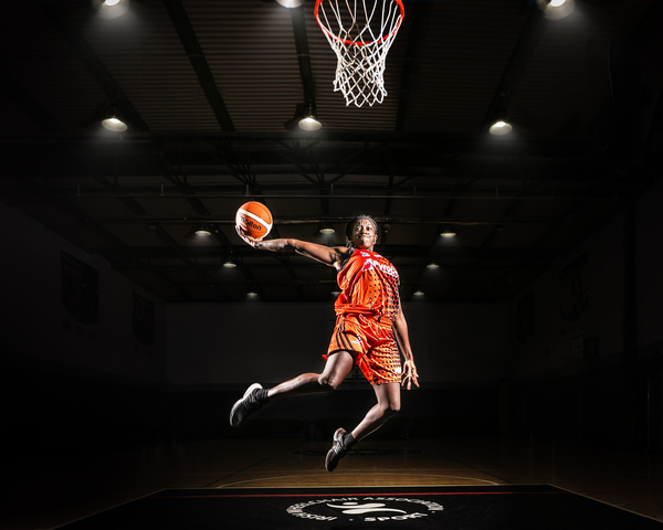 多伦多猛龙 多伦多猛龙