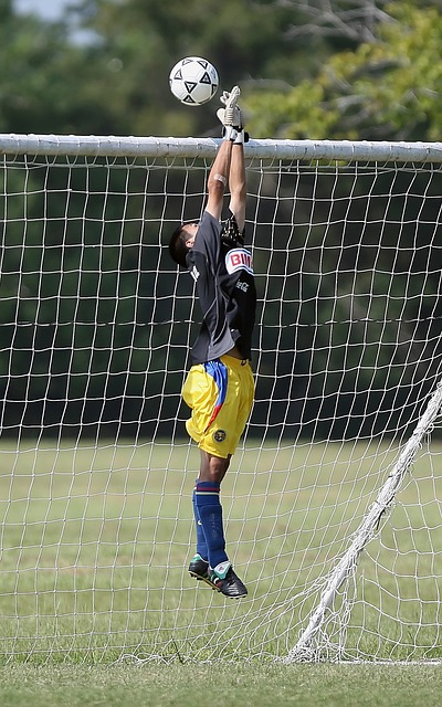 类似高价交 类似高价交